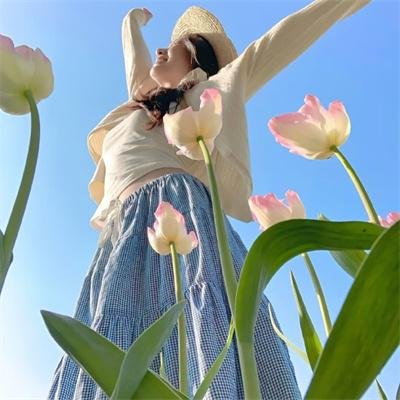没有数学的修学旅行
